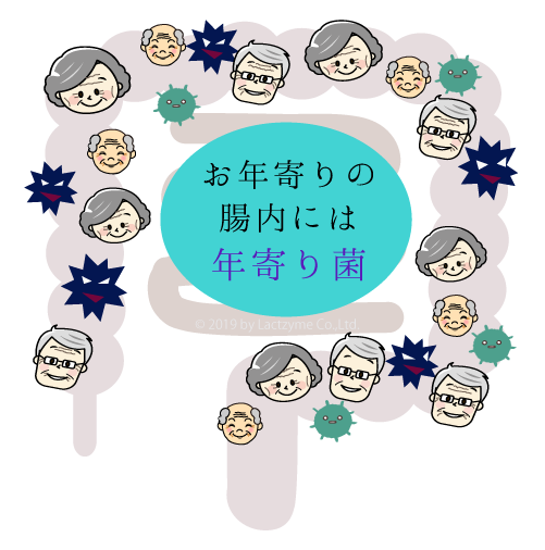 腸内