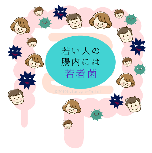 腸内